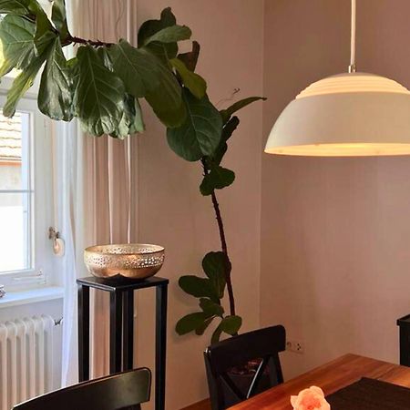 Seeglueck Seeliebe - Charmante Jugendstilwohnung Mit Parkplatz Direkt Im Zentrum Nahe Bahnhof Und Seeufer In 康斯坦茨 外观 照片